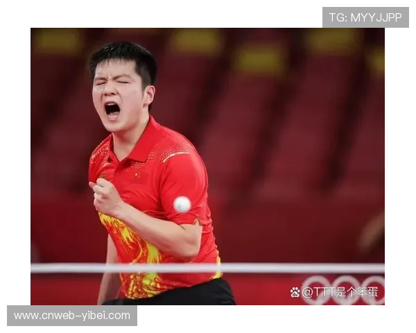 樊振东加盟萨尔布吕肯，乒坛热潮席卷德国